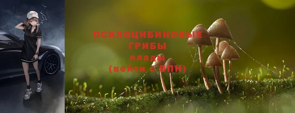 дмт Новокубанск