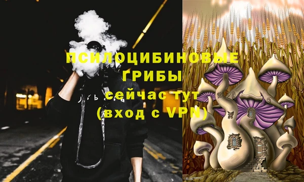 дурь Новодвинск