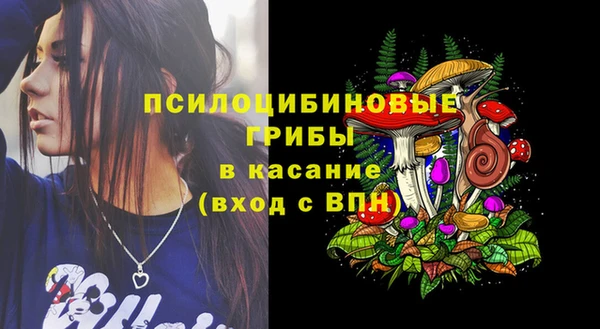 дурь Новодвинск