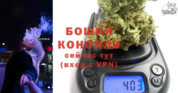 дмт Новокубанск