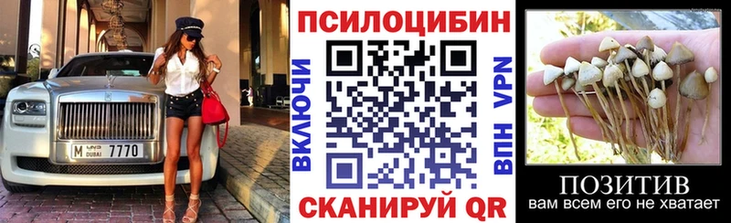 Псилоцибиновые грибы MAGIC MUSHROOMS  где можно купить наркотик  Юхнов 